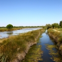 img_0966_dls_res